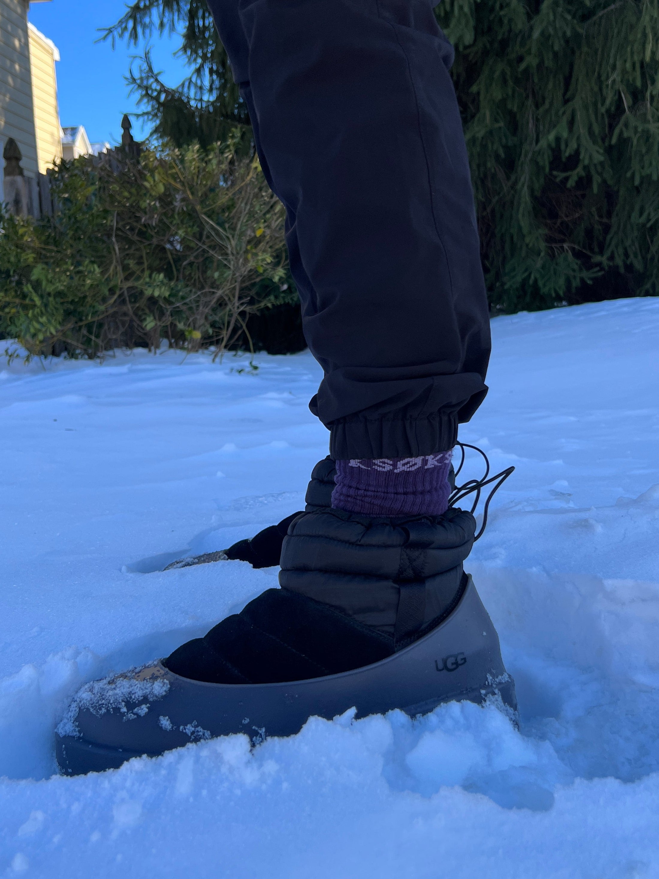 Winter Hues Crew Sock Pack